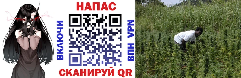 Продажа наркотиков Боготол А ПВП  КОКАИН  Гашиш  МЕФ  Конопля 
