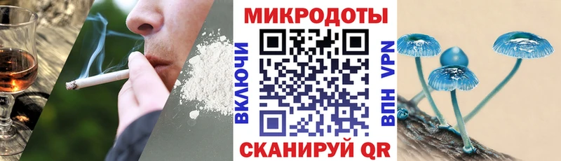 Галлюциногенные грибы Psilocybe  закладки  Боготол 